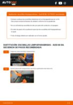 Cambio Correa Poly V SEAT 124: guía pdf