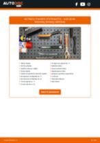 LEXUS LFA Reguliatorius, kintamosios srovės generatorius pakeisti: žinynai pdf