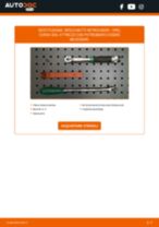 SEAT TERRA Box (024A) Cinghia Poly-V sostituzione: tutorial PDF passo-passo