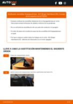 Cambio Polea dámper KIA bricolaje - manual pdf en línea