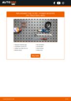 DIY HYUNDAI change Inline fuel filter diesel and petrol - online manual pdf