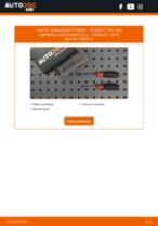 PEUGEOT RIFTER Ajovalot vaihto matrix LED: opas pdf