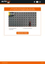 SEAT TERRA Box (024A) Luce Targa sostituzione: tutorial PDF passo-passo