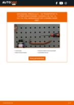 Stap-voor-stap PDF-handleidingen over het veranderen van VW TRANSPORTER V Platform/Chassis (7JD, 7JE, 7JL, 7JY, 7JZ, 7FD) Spiegelglas