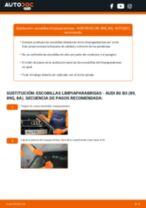 Guía para la instalación de Escobillas en el AUDI 80
