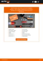 Manual de taller para Combo Camión de plataforma / Chasis (X12) 1.3 CDTI en línea