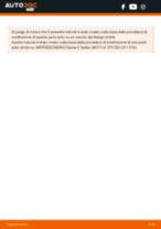 PDF manuale di sostituzione: Spazzole tergicristallo MERCEDES-BENZ Classe B (W246, W242) posteriore e anteriore