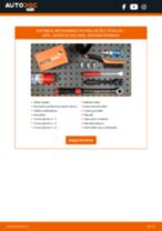 Peržiūrėk mūsų informatyvias PDF pamokas apie OPEL ZAFIRA B Van techninę priežiūrą ir remontą