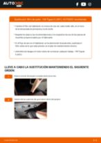 Instrucciones gratuitas en PDF para el mantenimiento de VW TIGUAN (AD1) por tu cuenta