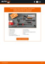 PDF manual sobre mantenimiento TRANSIT CONNECT