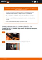 Sustitución de Escobillas de parabrisas en VW TRANSPORTER VI Box (SGA, SGH) - consejos y trucos