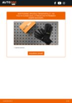 Sostituzione Tergicristalli anteriore e posteriore VW Polo Classic 6kv: tutorial PDF passo-passo