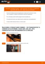 Reparație pas cu pas Transporter T6 Camion cu platformă / Sasiu (SFD, SFE, SFL, SFZ) 2019 - carte tehnica
