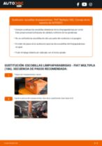 La guía profesional para realizar la sustitución de Filtro de Combustible en tu Fiat Multipla 186 1.6 100 16V