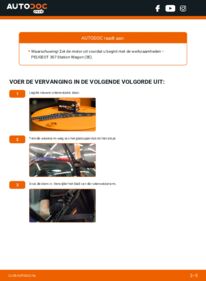 Vervanging uitvoeren: Ruitenwissers 1.6 16V Peugeot 307 Station Wagon