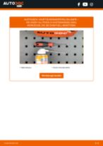 VW CADDY ALLTRACK Box (SAA) Abblendlicht-Birne austauschen: Online-Handbuch zum Selbstwechsel
