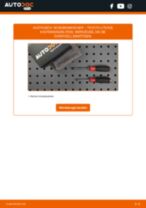 Werkstatthandbuch LiteAce M20 online