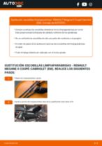 Sustitución de Escobillas de parabrisas en RENAULT MEGANE II Coupé-Cabriolet (EM0/1_) - consejos y trucos