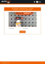Polo 6n1 change Blower Motor Resistor : guide pdf