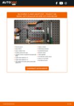 Manualul online pentru schimbarea Acumulator auto la ABARTH GRANDE PUNTO