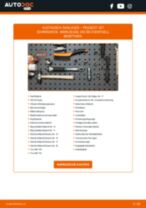 PEUGEOT 207 (WA_, WC_) Radlager: Schrittweises Handbuch im PDF-Format zum Wechsel