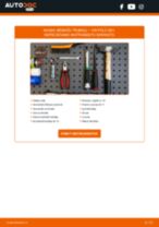 Tiešsaistes rokasgrāmata, kā mainīties Termostats uz ALPINA XD3 (G01)