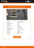 De professionele handleidingen voor Multiriem-vervanging in je PEUGEOT 207 Van 1.6 VTi