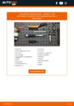 De professionele handleidingen voor Motorsteun-vervanging in je PEUGEOT 1007 (KM_) 1.4 16V
