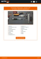 De professionele handleidingen voor Interieurfilter-vervanging in je PEUGEOT 1007 (KM_) 1.6 HDi
