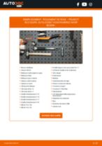 PDF manuel sur la maintenance de RCZ