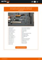 PDF manual sobre mantenimiento 307 (3A/C) 1.4