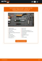 La guía profesional para realizar la sustitución de Amortiguadores en tu PEUGEOT 207 SW Kasten / Kombi (WK_) 1.6 HDi