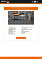 FERODO FDB4260 per 207 Van (WA_, WC_) | PDF istruzioni di sostituzione