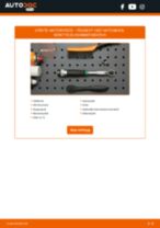 DIY-manual för byte av Rattstångsbrytare i PEUGEOT 208 2023