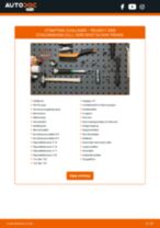 DIY-manual for utskifting av Hjullager i PEUGEOT 2008 2023