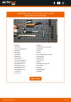 DIY-manual for utskifting av Hjullager i PEUGEOT RCZ 2015