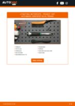 Bytte Ventilløfter PEUGEOT 504 Pickup (E_): handleiding pdf