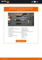 Ρίξε μια ματιά στα ενημερωτικά PDF οδηγιών συντήρησης και επισκευών PEUGEOT 307 SW Kasten/Kombi (3E_, 3H_)
