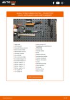 Rokasgrāmata PDF par RCZ remonts un apkopi