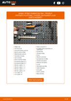 PARTNER Platforma/Šasija 1.6 HDi 16V darbnīcas rokasgrāmata