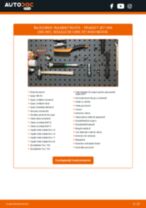 PEUGEOT 207 Van (WA, WC) 2020 carte tehnica de reparație și întreținere