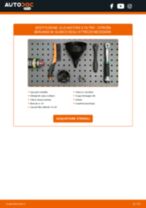 DT Spare Parts 6.24207 per Berlingo / Berlingo First Van (M_) | PDF istruzioni di sostituzione