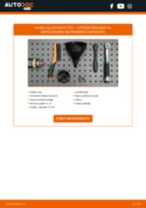 Ķīļrievu siksna: profesionāla rokasgrāmata tā nomaiņai tavam Citroen Jumper Platforma 2.0