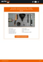 Manualul online pentru schimbarea Filtru ulei motor la CITROËN BERLINGO Box (M_)