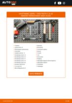 Kuidas vahetada ja reguleerida Veovõlli tolmukaitse komplekt FORD FIESTA: pdf juhend