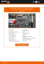 Manual online sobre a substituição de Fita de borracha, sistema de escape em Skoda Rapid nh1