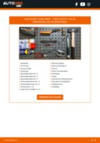 Wie Bremssattel-Reparatur-Set FORD FIESTA auswechseln und einstellen: PDF-Anleitung