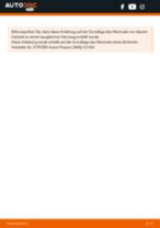 CITROËN BERLINGO (MF) Spurstangenkopf: Schrittweises Handbuch im PDF-Format zum Wechsel