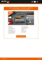 Tiešsaistes rokasgrāmata, kā mainīties Degvielas filtrs uz CITROËN E-MEHARI