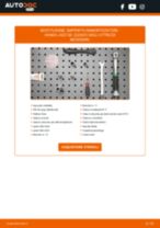 FORD Freestyle Mk3 Schrägheck Galoppino / Guidacinghia, Cinghia dentata sostituzione: tutorial PDF passo-passo